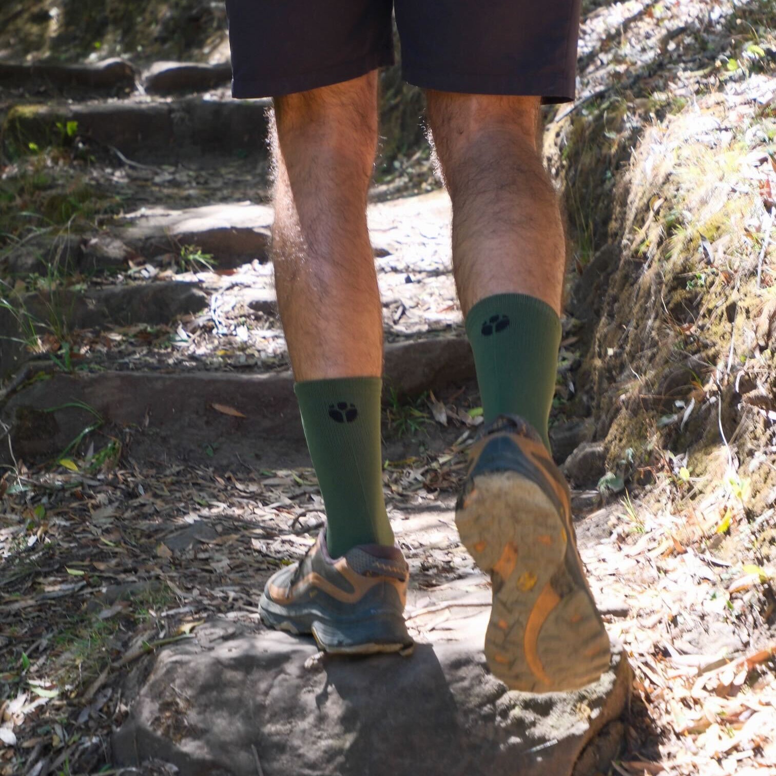 OLIVE Running Performance Socks Lifestyle Front