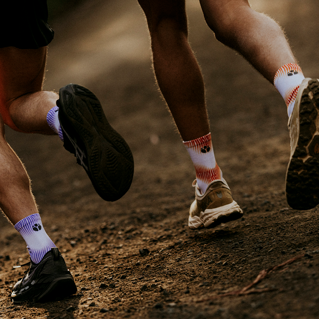 COBALT Performance Socks