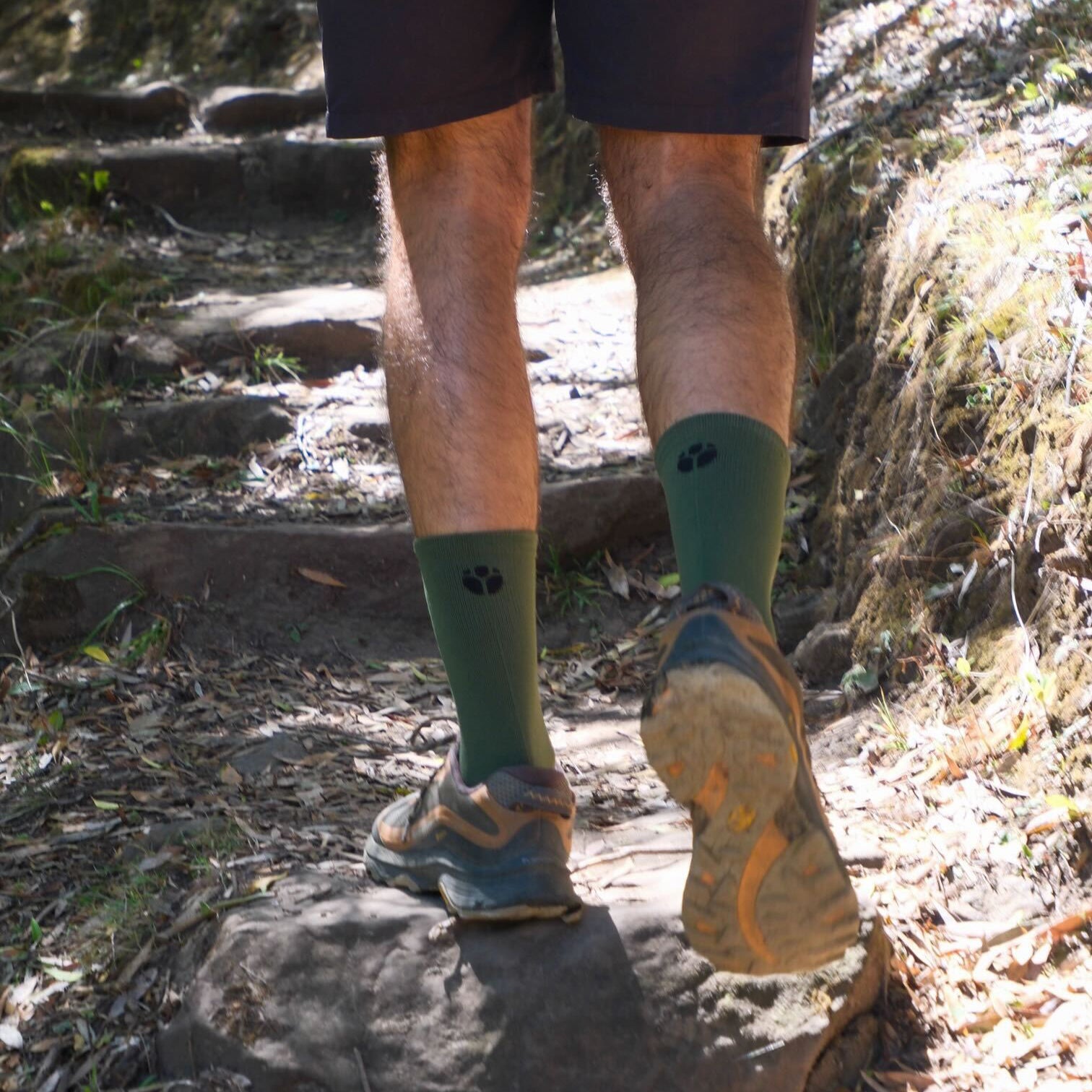 OLIVE Performance Socks