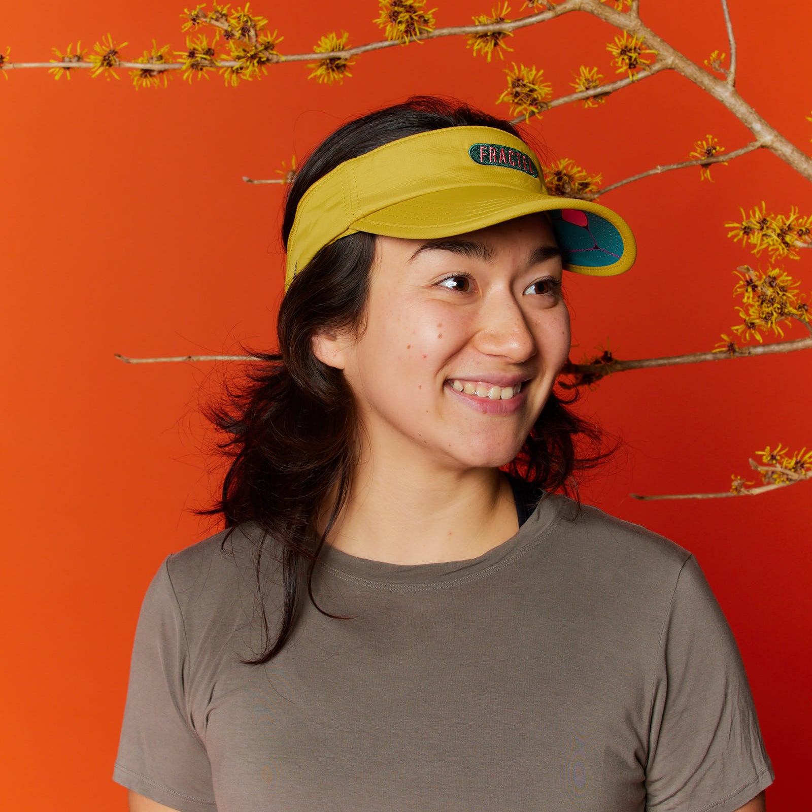 V-OASIS Visor