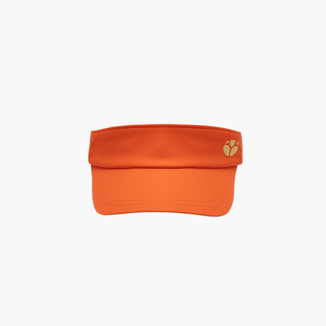 V-SUNSET Visor