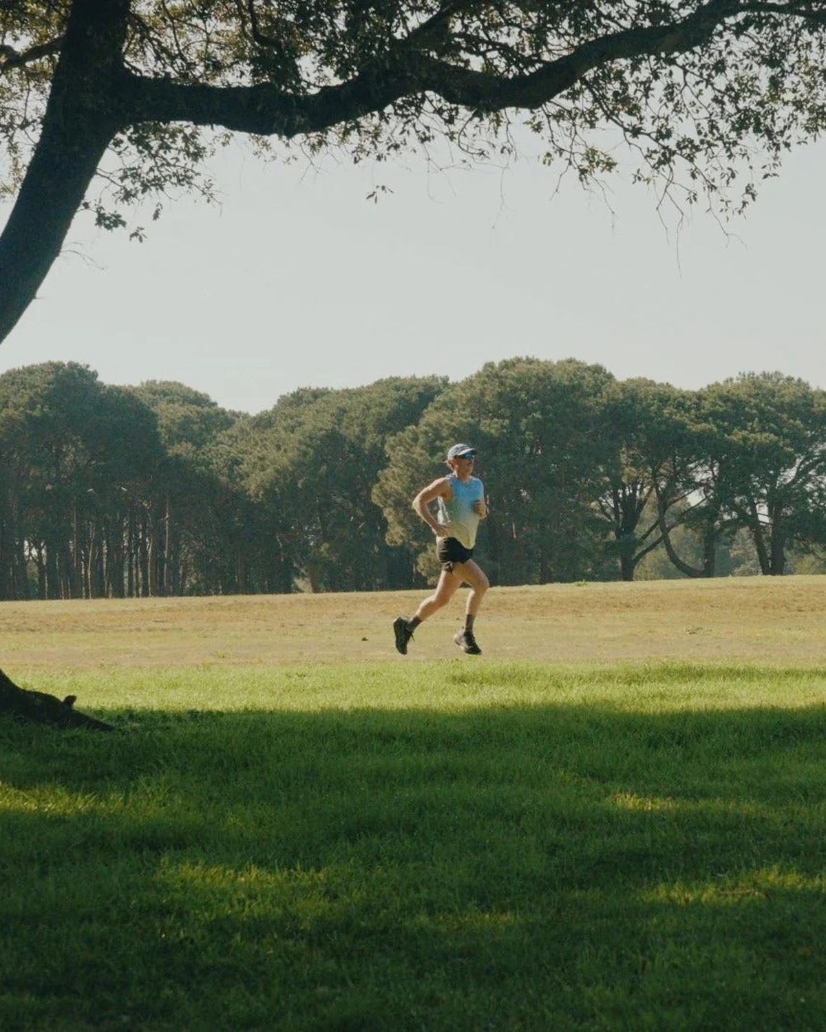 Velocity 4 running collection: runner in a light blue singlet striding across sunlit grass
