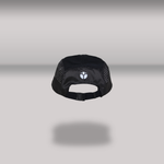 P-ASHER Small Cap